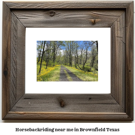 horseback riding near me in Brownfield, Texas